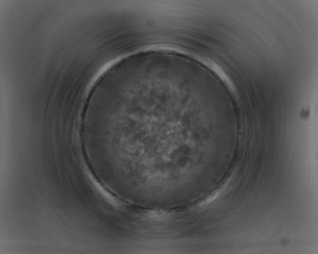 X0000094900799200712131429