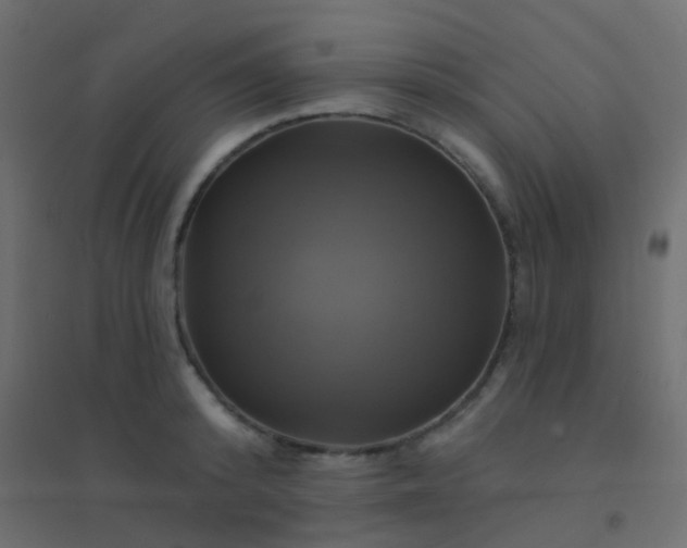 X0000094900800200712131429