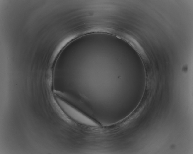 X0000094900804200712131429