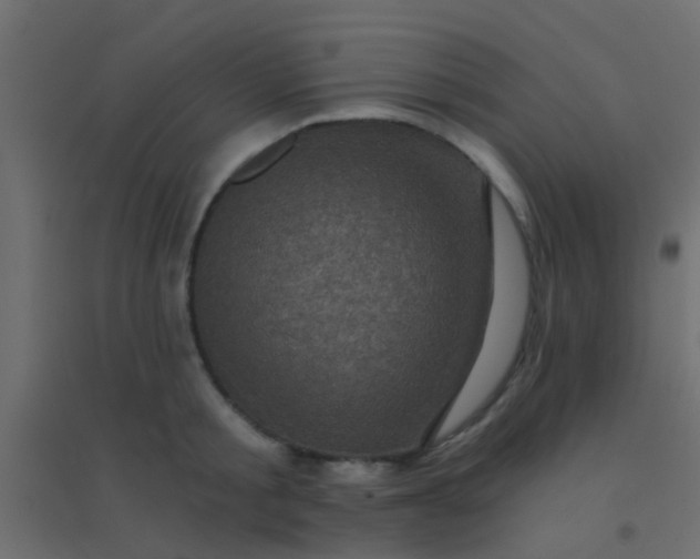 X0000094900805200712131429