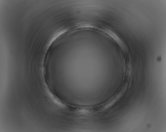 X0000094900806200712131429