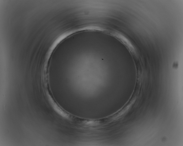X0000094900808200712131429