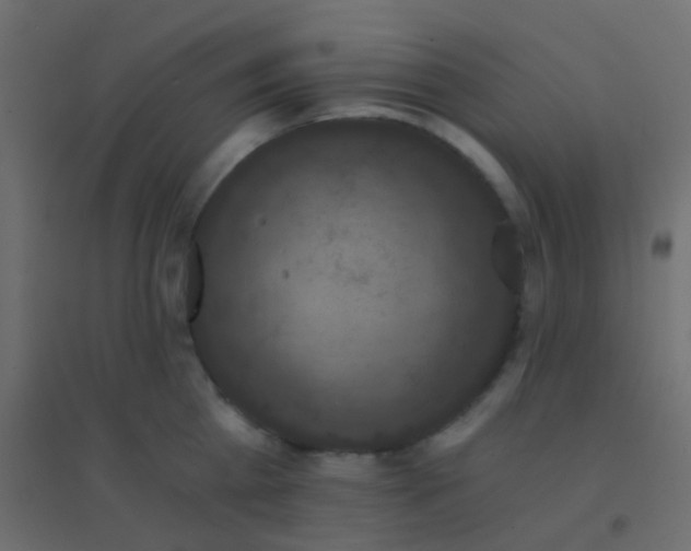 X0000094900809200712131429