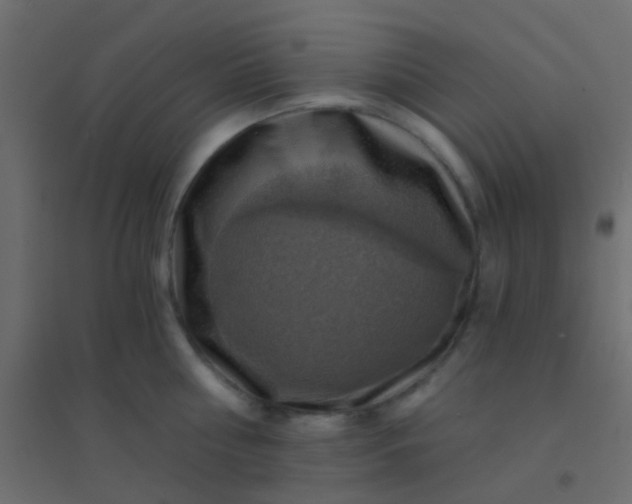 X0000094900810200712131429