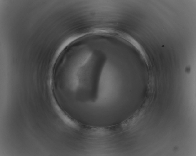 X0000094900811200712131429