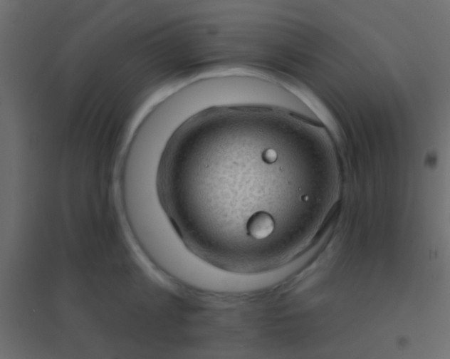 X0000094900813200712131429