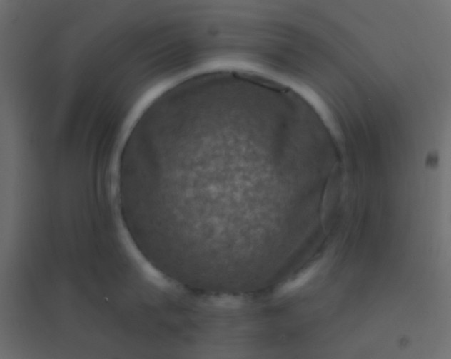 X0000094900815200712131429