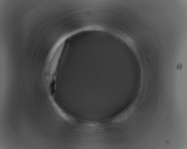 X0000094900816200712131429