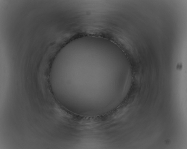 X0000094900817200712131428