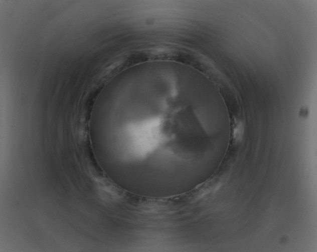 X0000094900819200712131428