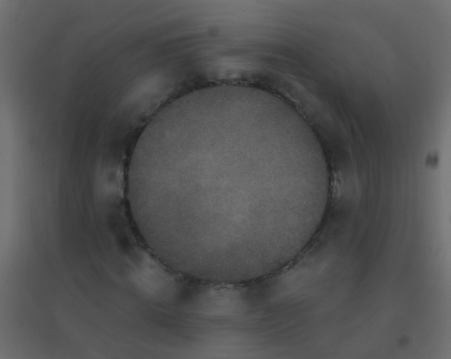 X0000094900820200712131428