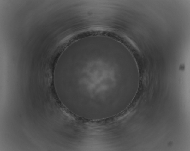 X0000094900821200712131428
