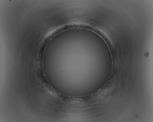X0000094900823200712131428