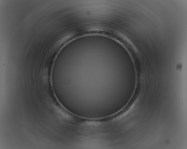 X0000094900825200712131428