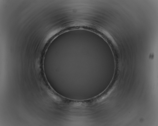 X0000094900826200712131428