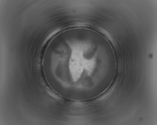 X0000094900827200712131428