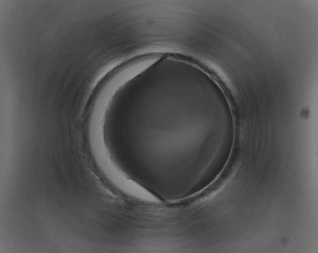 X0000094900829200712131428