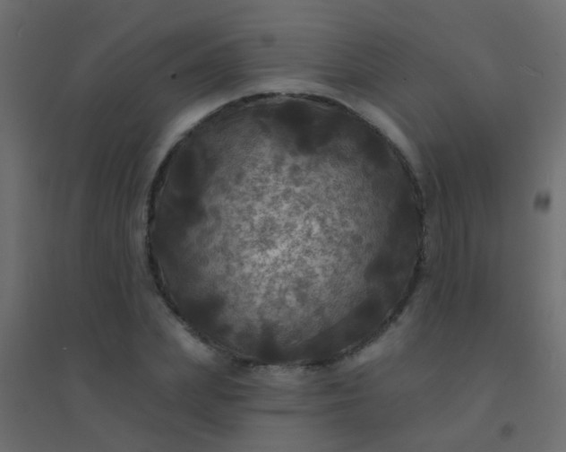 X0000094900831200712131428