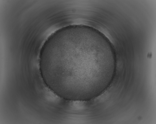 X0000094900832200712131428