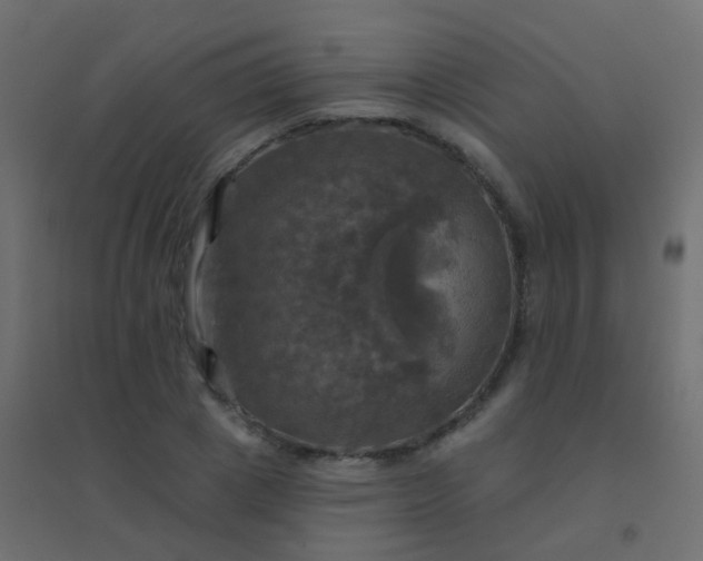 X0000094900833200712131428