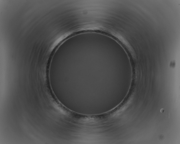 X0000094900834200712131428