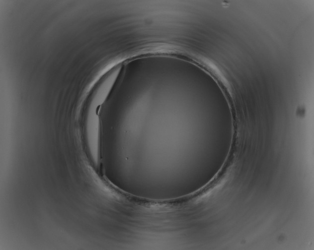 X0000094900835200712131428