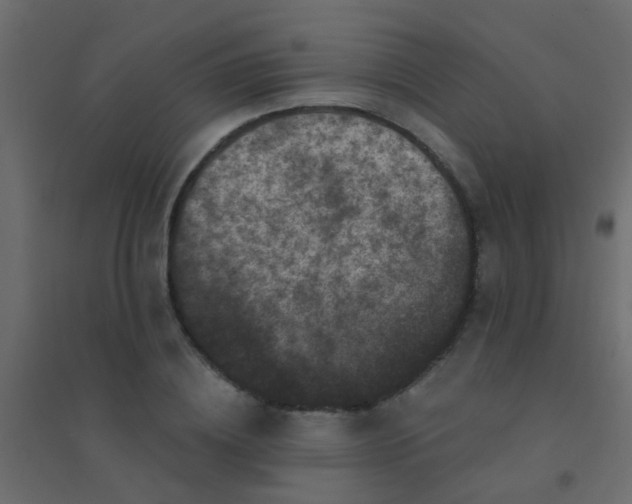 X0000094900836200712131428