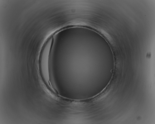 X0000094900840200712131429