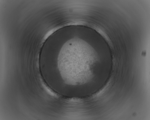 X0000094900842200712131429