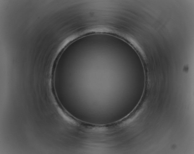 X0000094900845200712131429