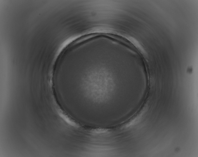 X0000094900846200712131429