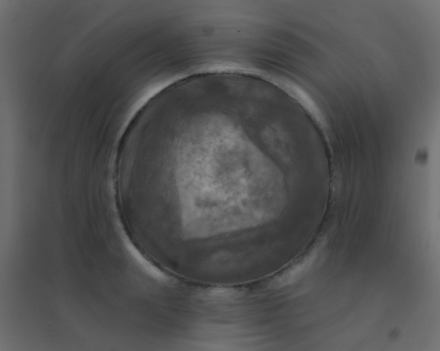 X0000094900847200712131429
