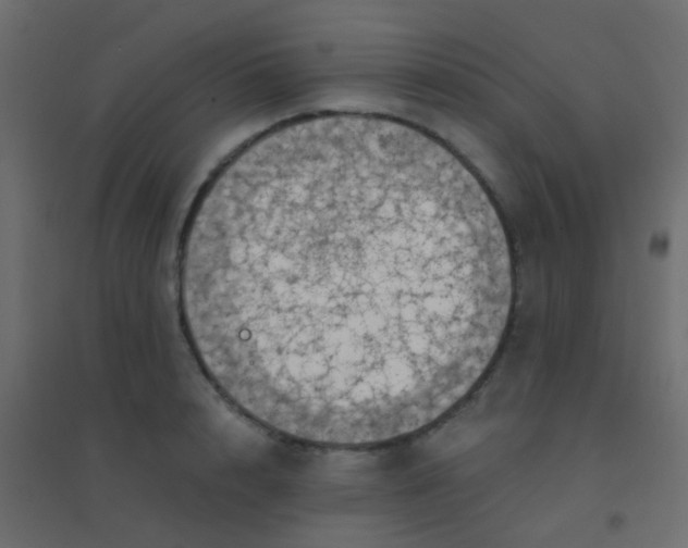 X0000094900848200712131429