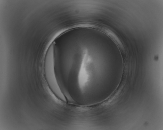 X0000094900852200712131429