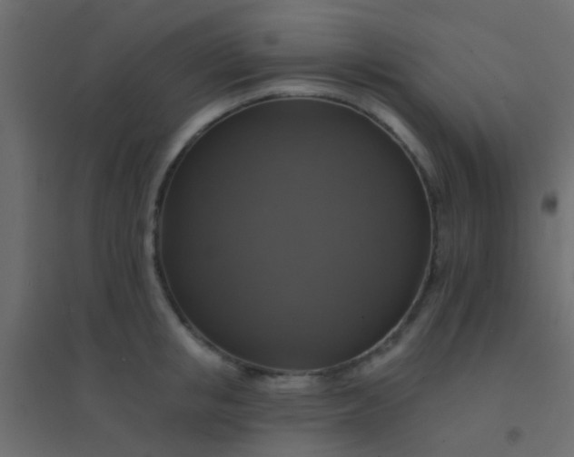 X0000094900853200712131429