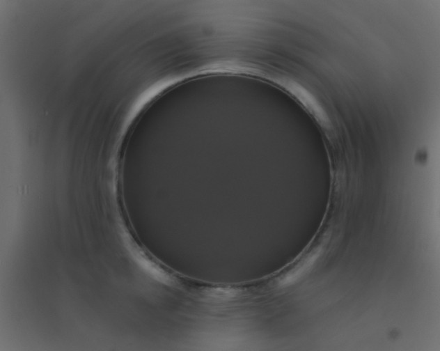 X0000094900854200712131429