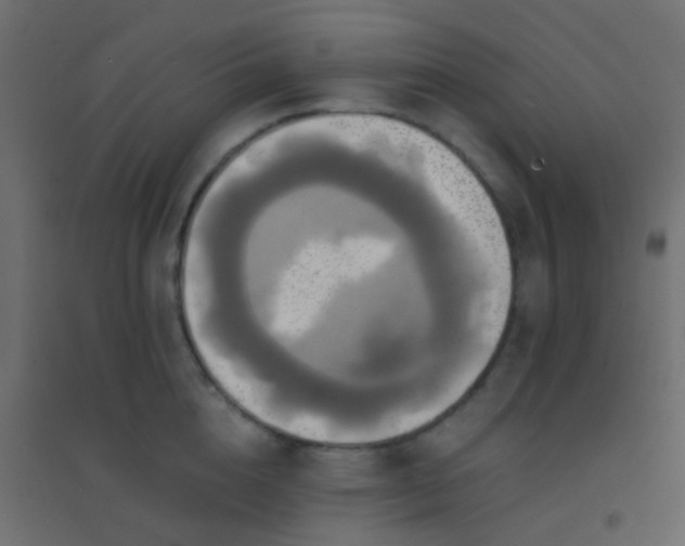 X0000094900856200712131429
