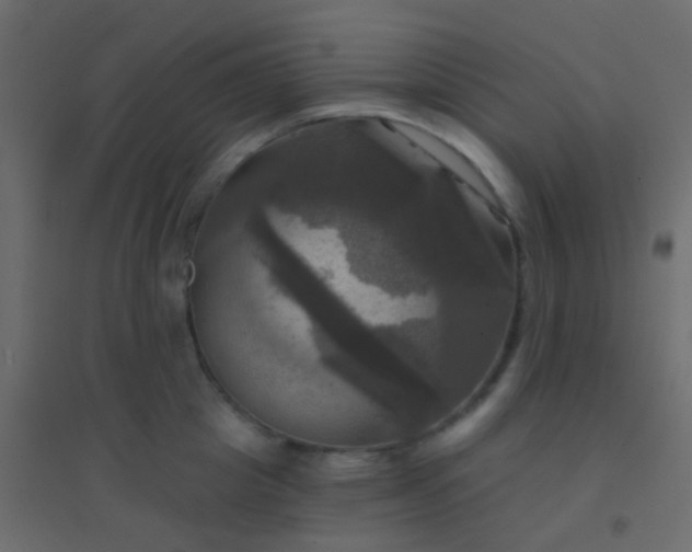 X0000094900857200712131429