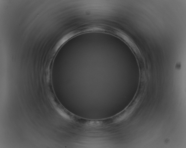 X0000094900858200712131429