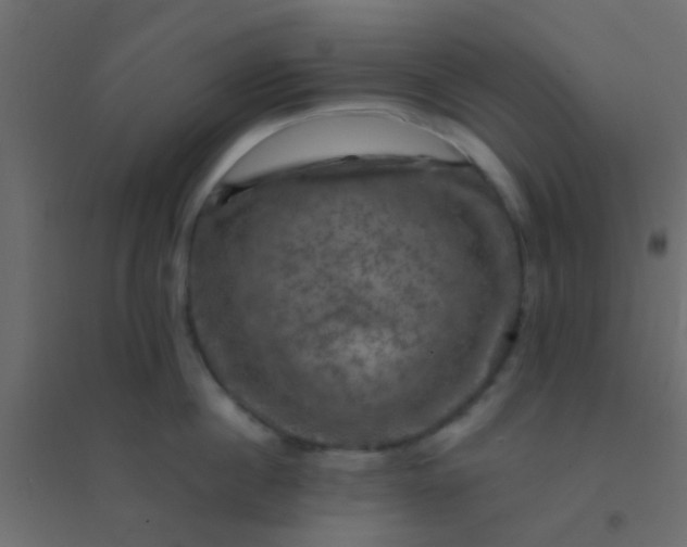 X0000094900860200712131429