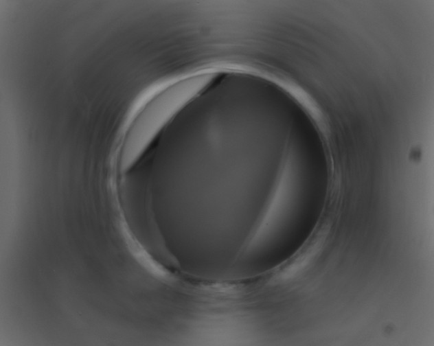 X0000094900862200712131429