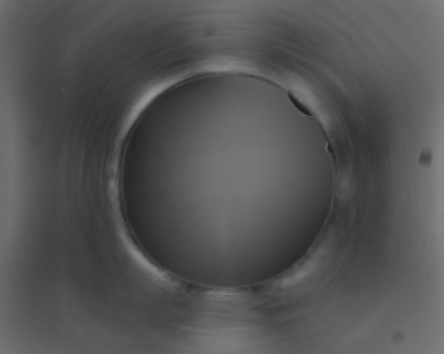 X0000094900863200712131429