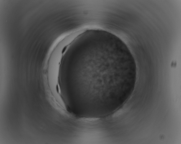 X0000094900864200712131429