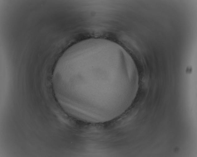 X0000094900865200712131428