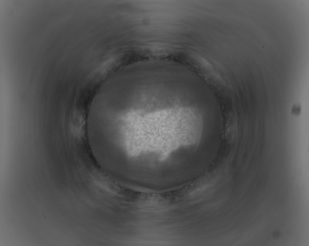 X0000094900866200712131428