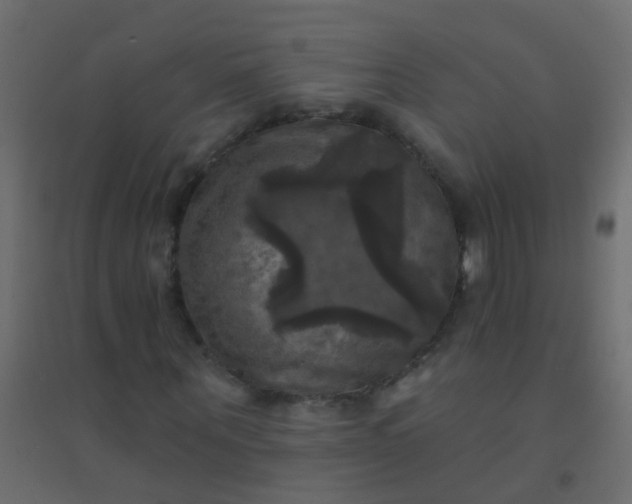 X0000094900867200712131428