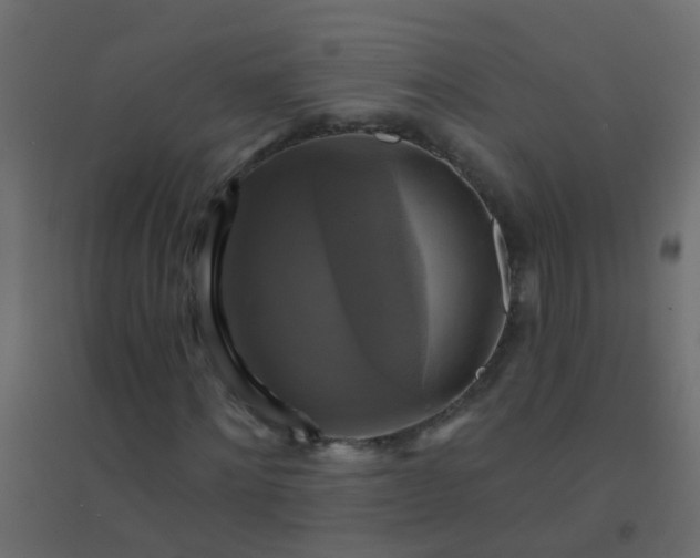 X0000094900868200712131428