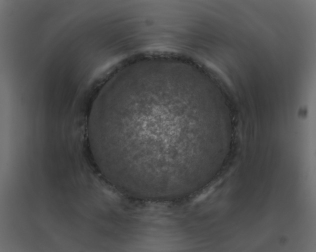 X0000094900870200712131428