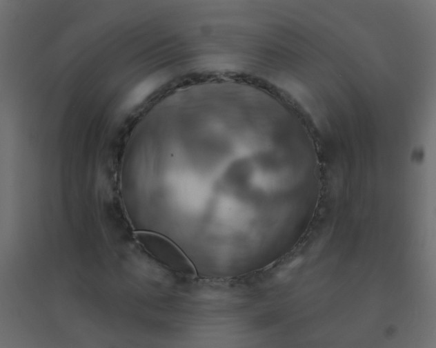 X0000094900871200712131428