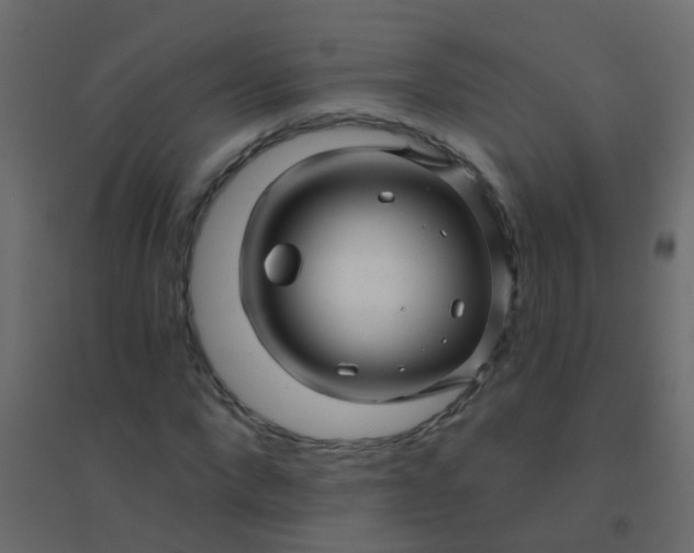 X0000094900872200712131428